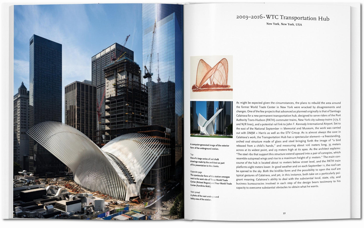 Calatrava. Arte Básico