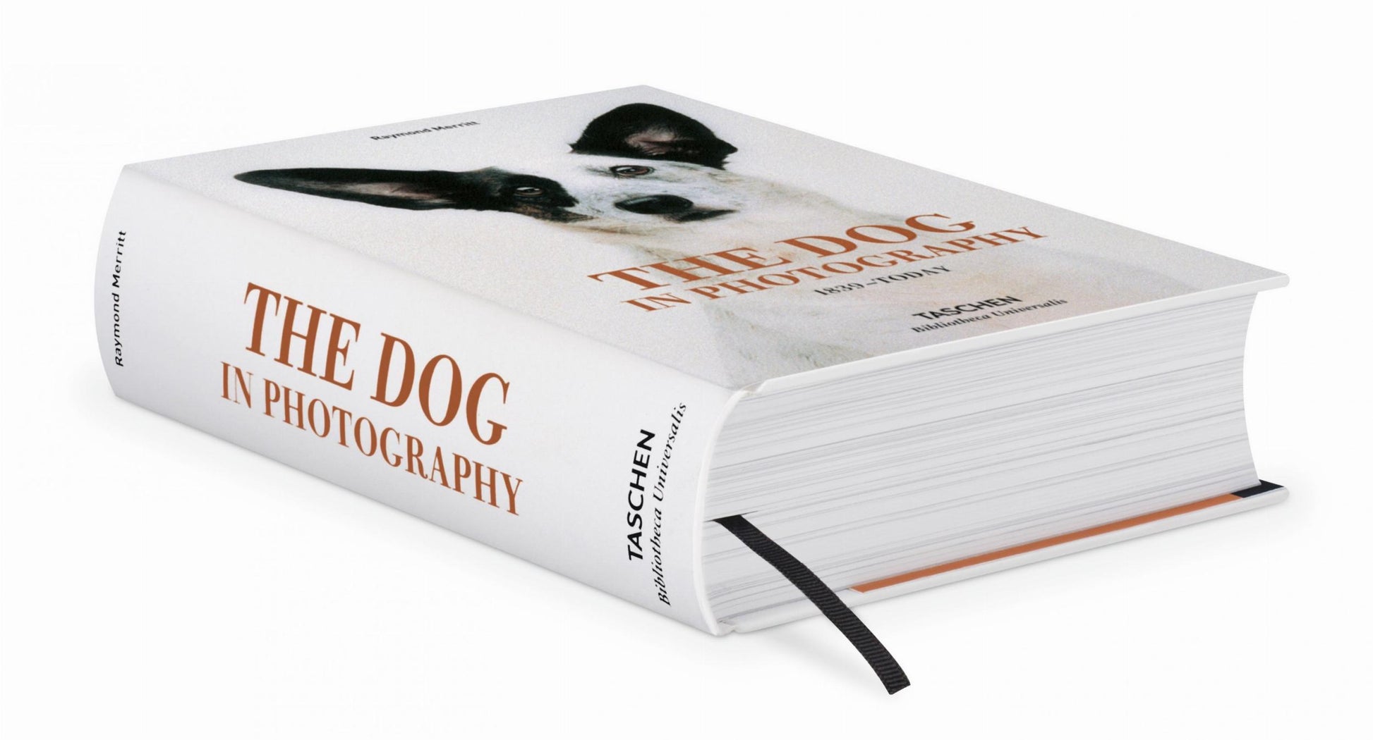 El perro en la fotografía 1839-hoy