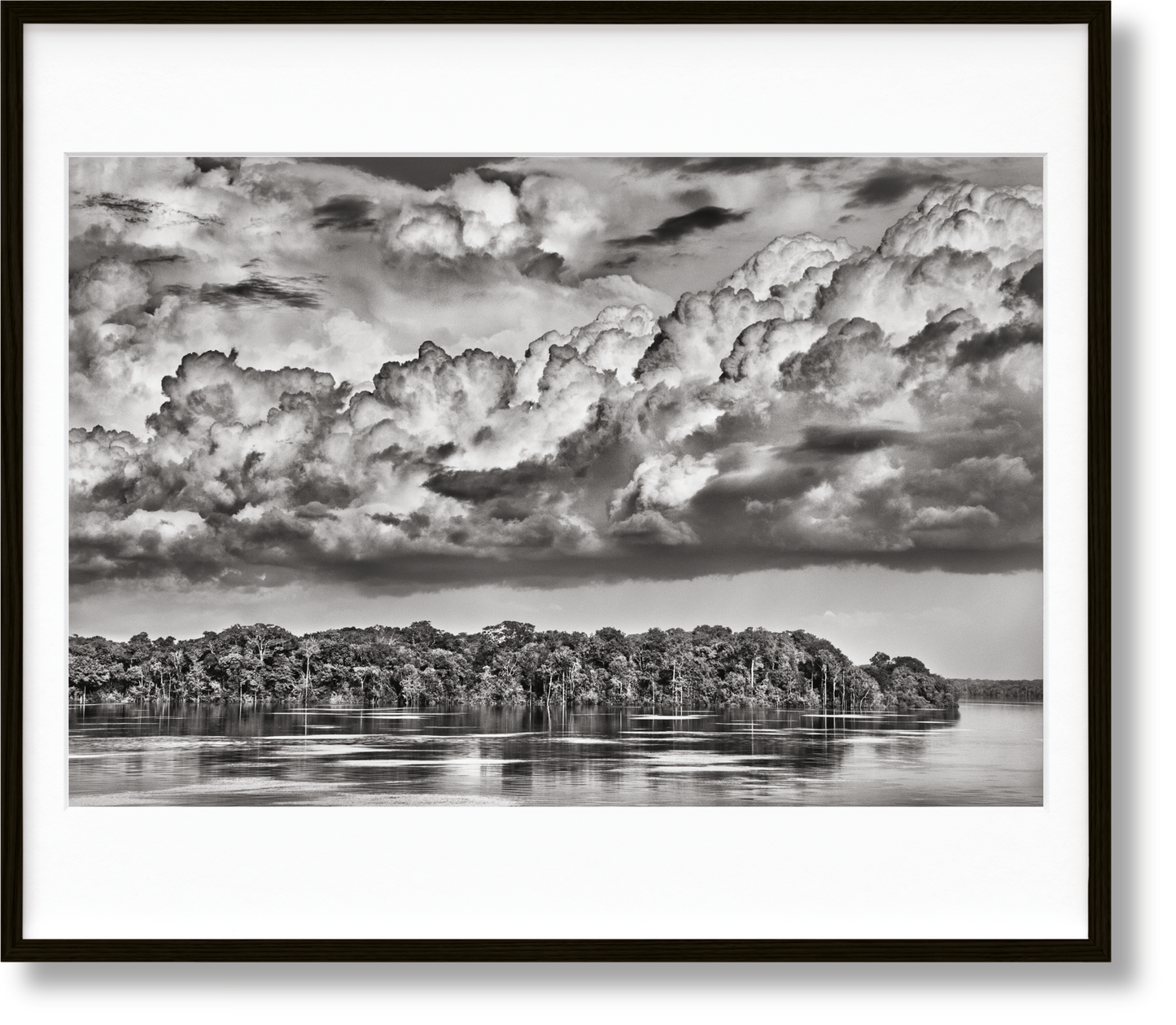 Sebastião Salgado. Amazônia, Edición de arte n.º 301–400 «El Paraná que conecta el río Negro con el río Cuyuní»