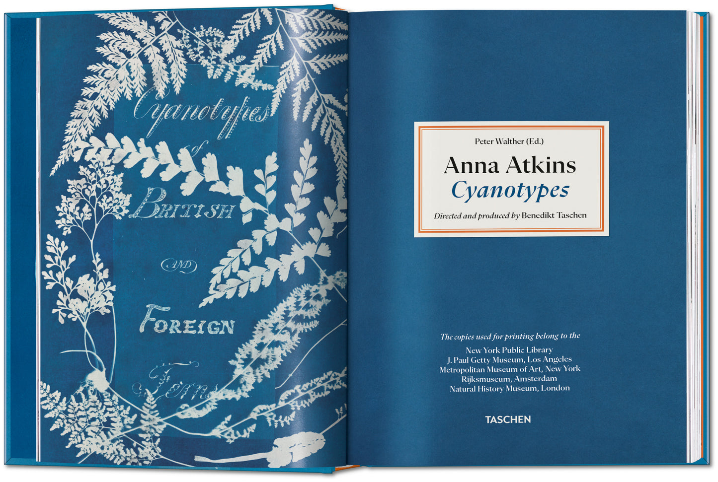 ANNA ATKINS. CYANOTYPES. 45TH ED.