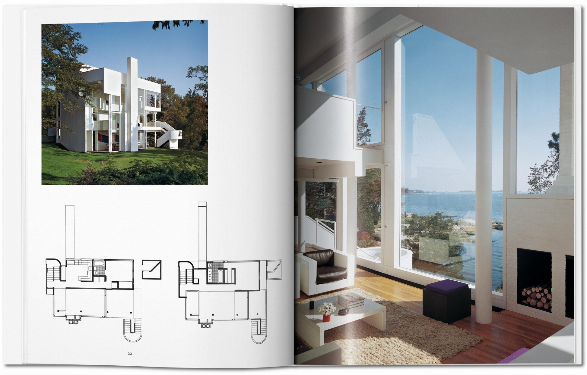 Meier. Arte básico