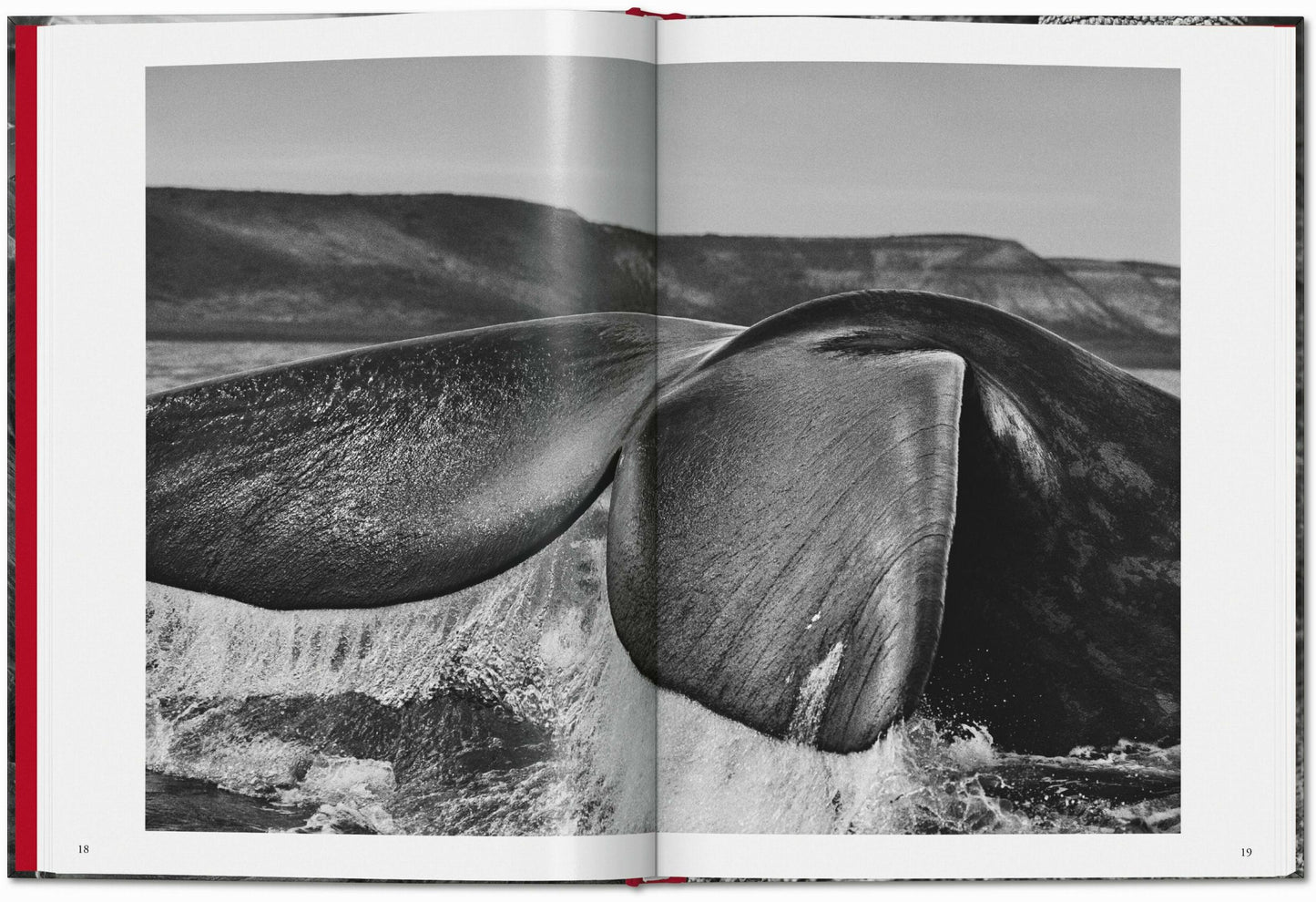 Sebastião Salgado. Génesis