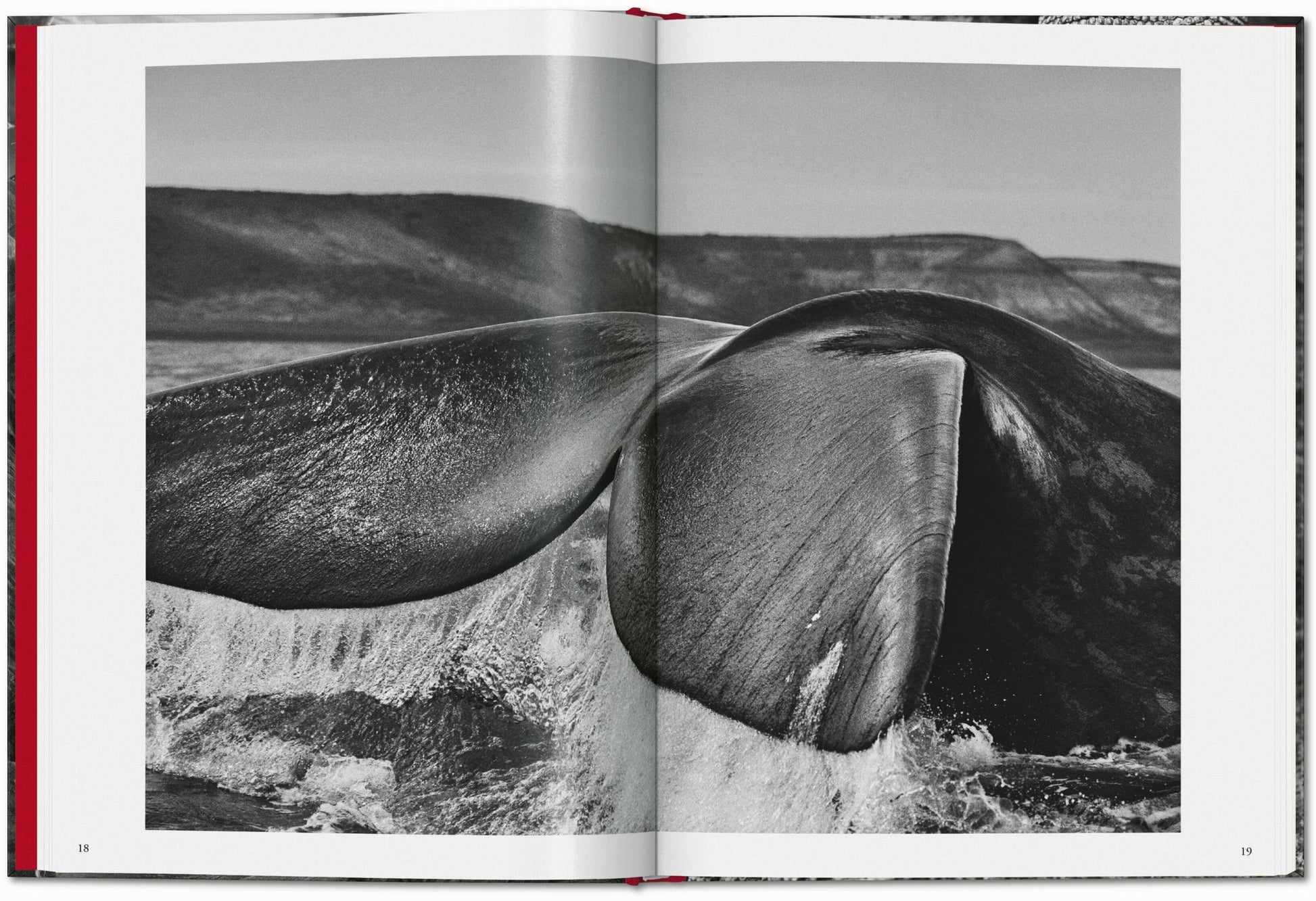 Sebastião Salgado. Génesis