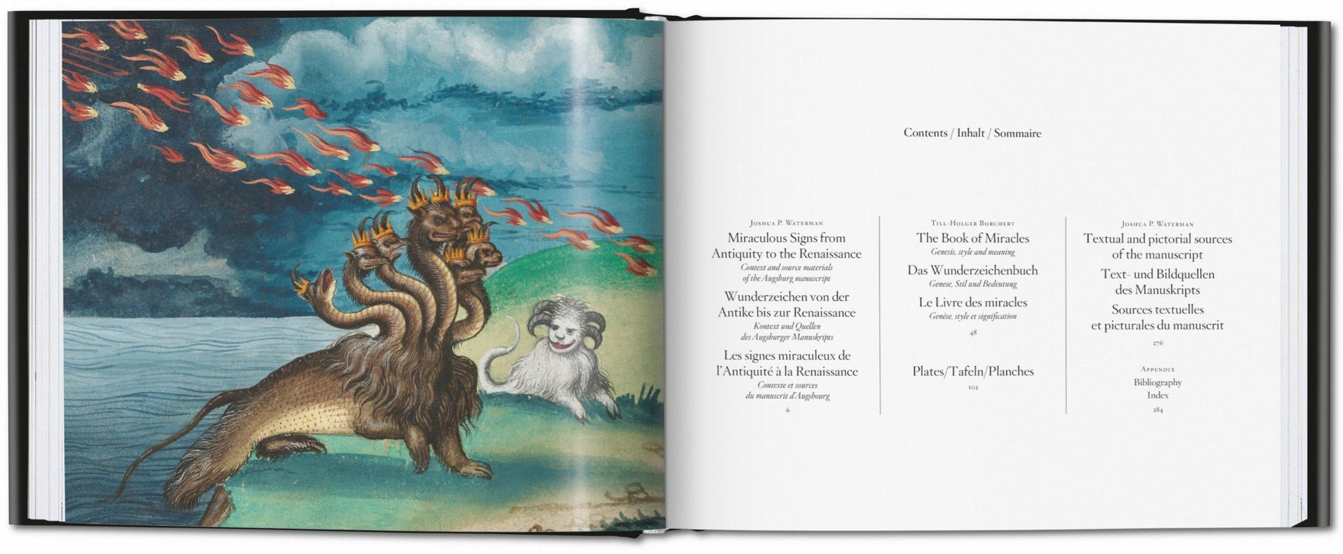 El libro de los milagros