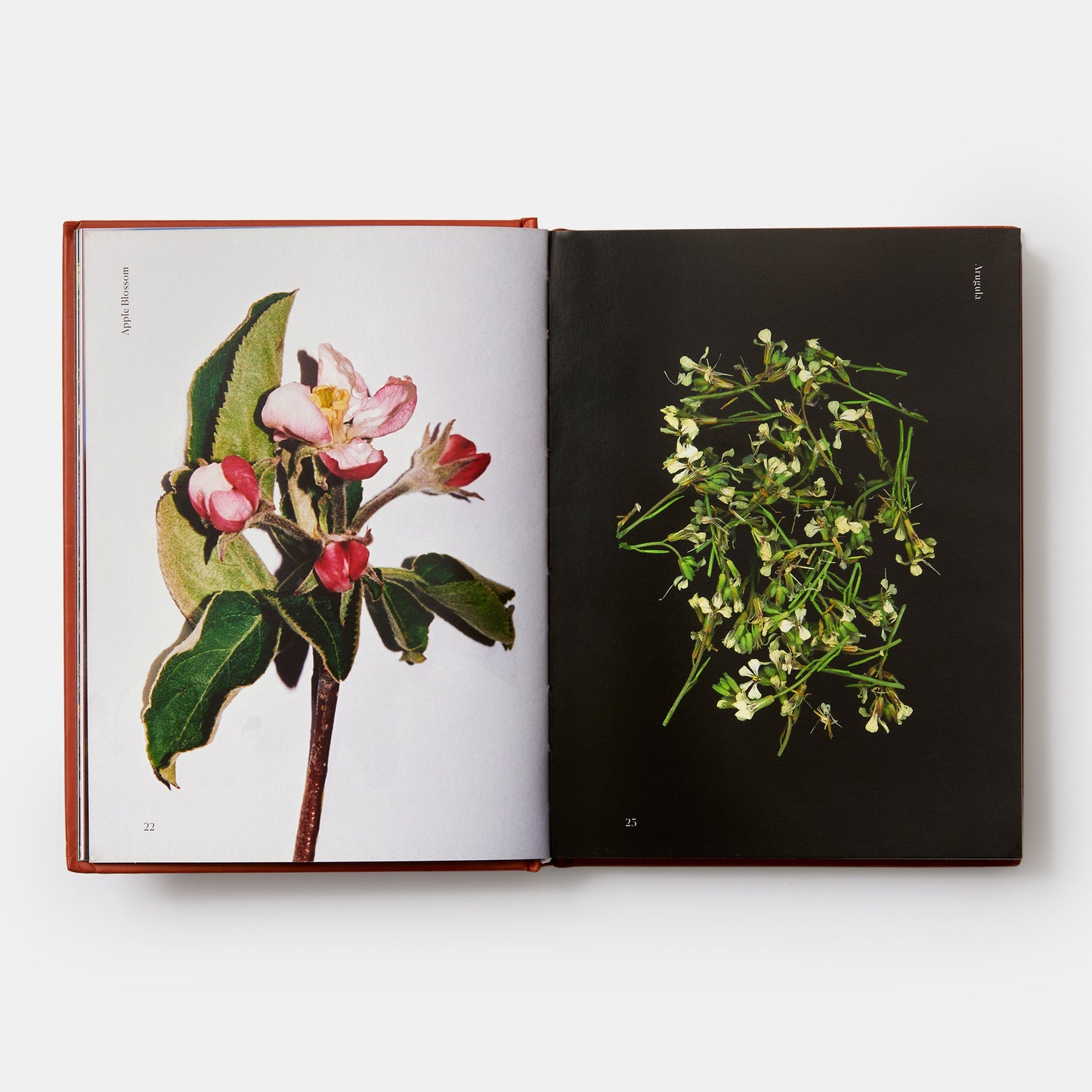 Flores comestibles: cómo, por qué y cuándo comemos flores