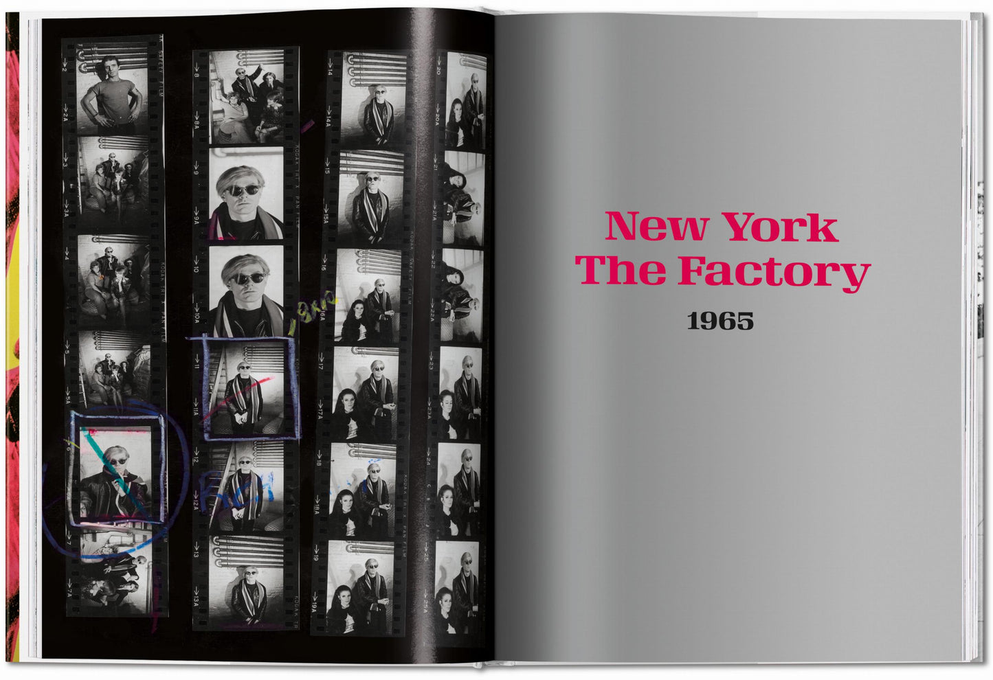 Steve Schapiro. Andy Warhol y amigos