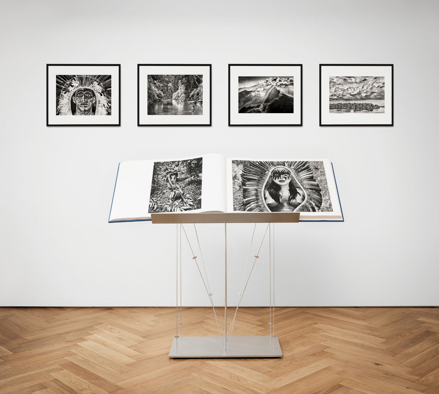Sebastião Salgado. Amazônia, Edición de arte n.º 301–400 «El Paraná que conecta el río Negro con el río Cuyuní»