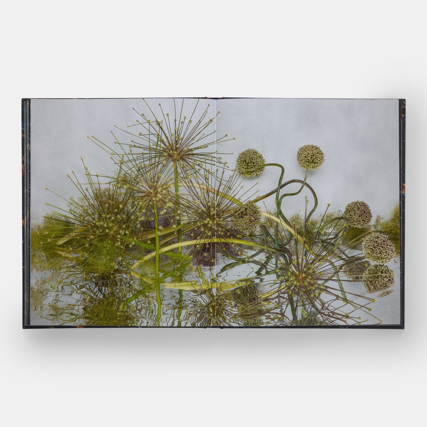 Emily Thompson Flowers