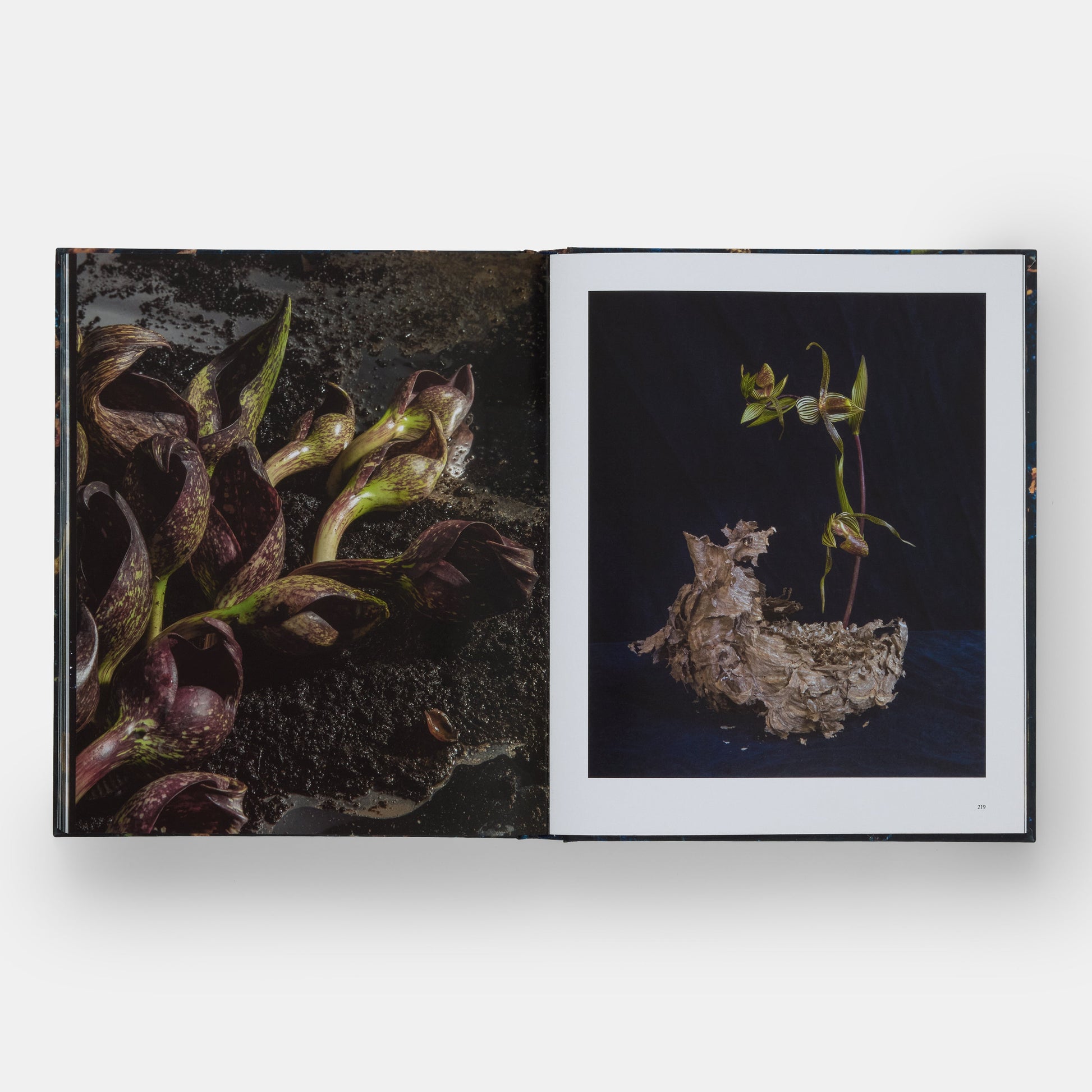 Emily Thompson Flowers