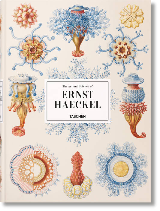 El arte y la ciencia de Ernst Haeckel