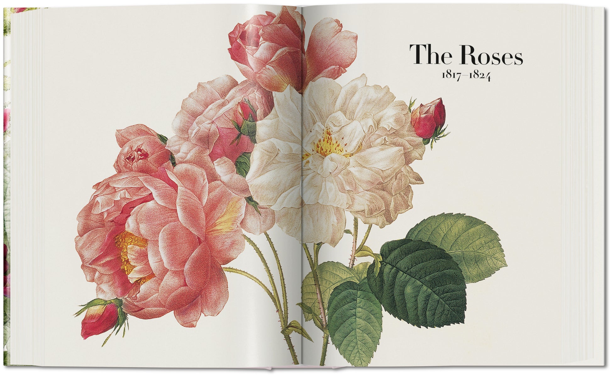 Redouté. El libro de las flores