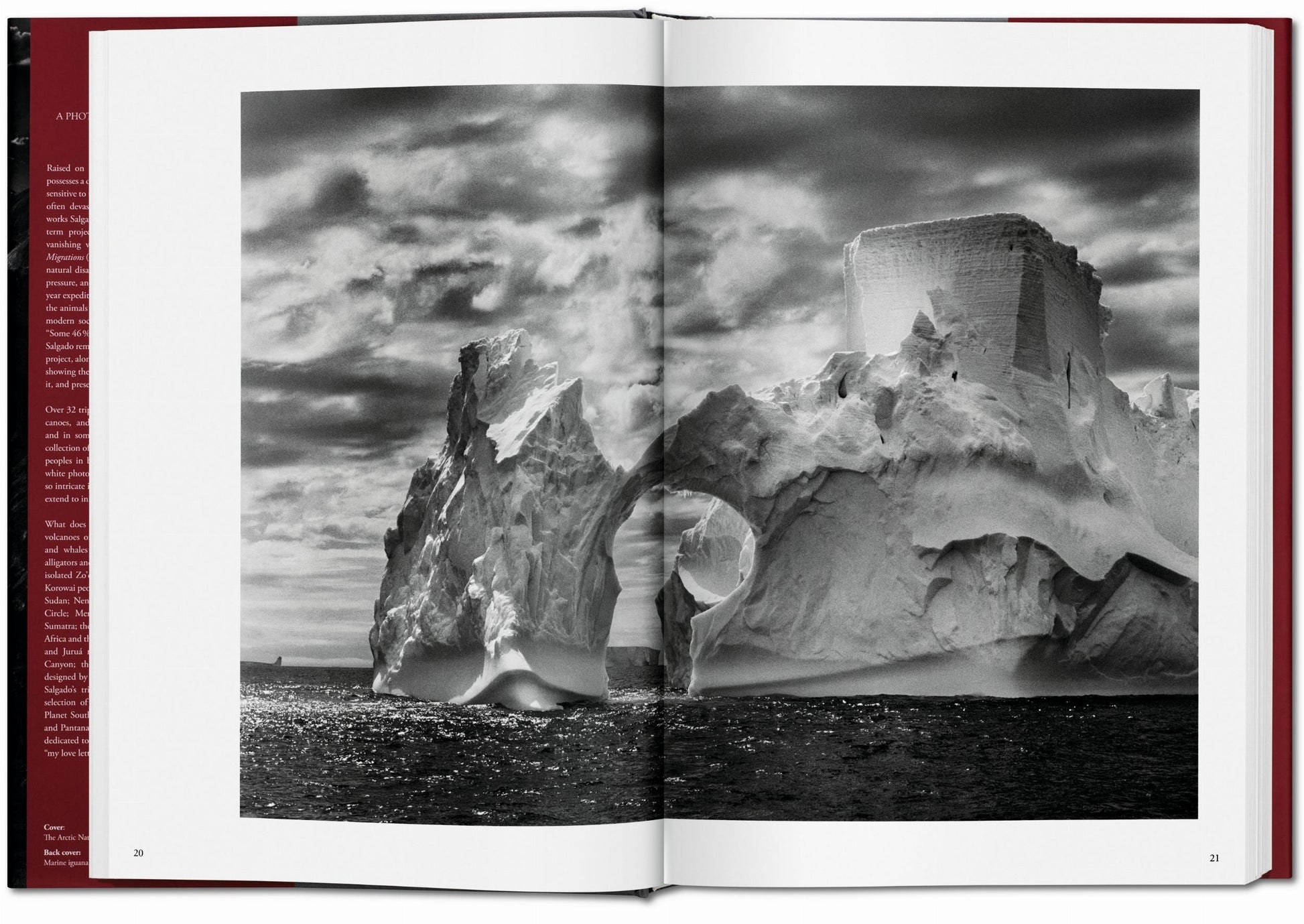 Sebastião Salgado. Génesis