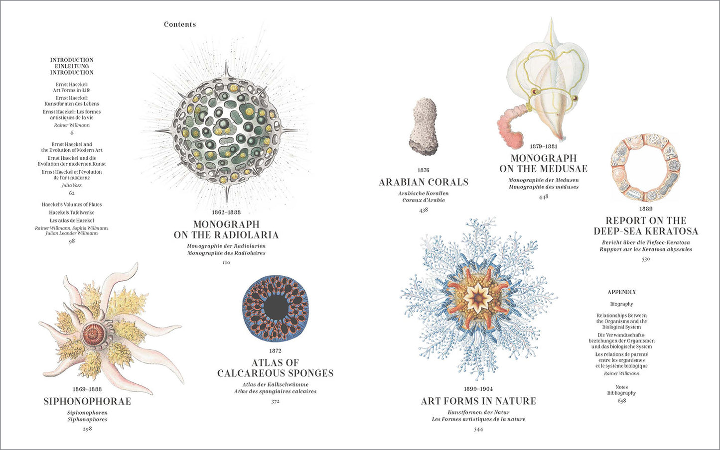 The Art and Science of Ernst Haeckel