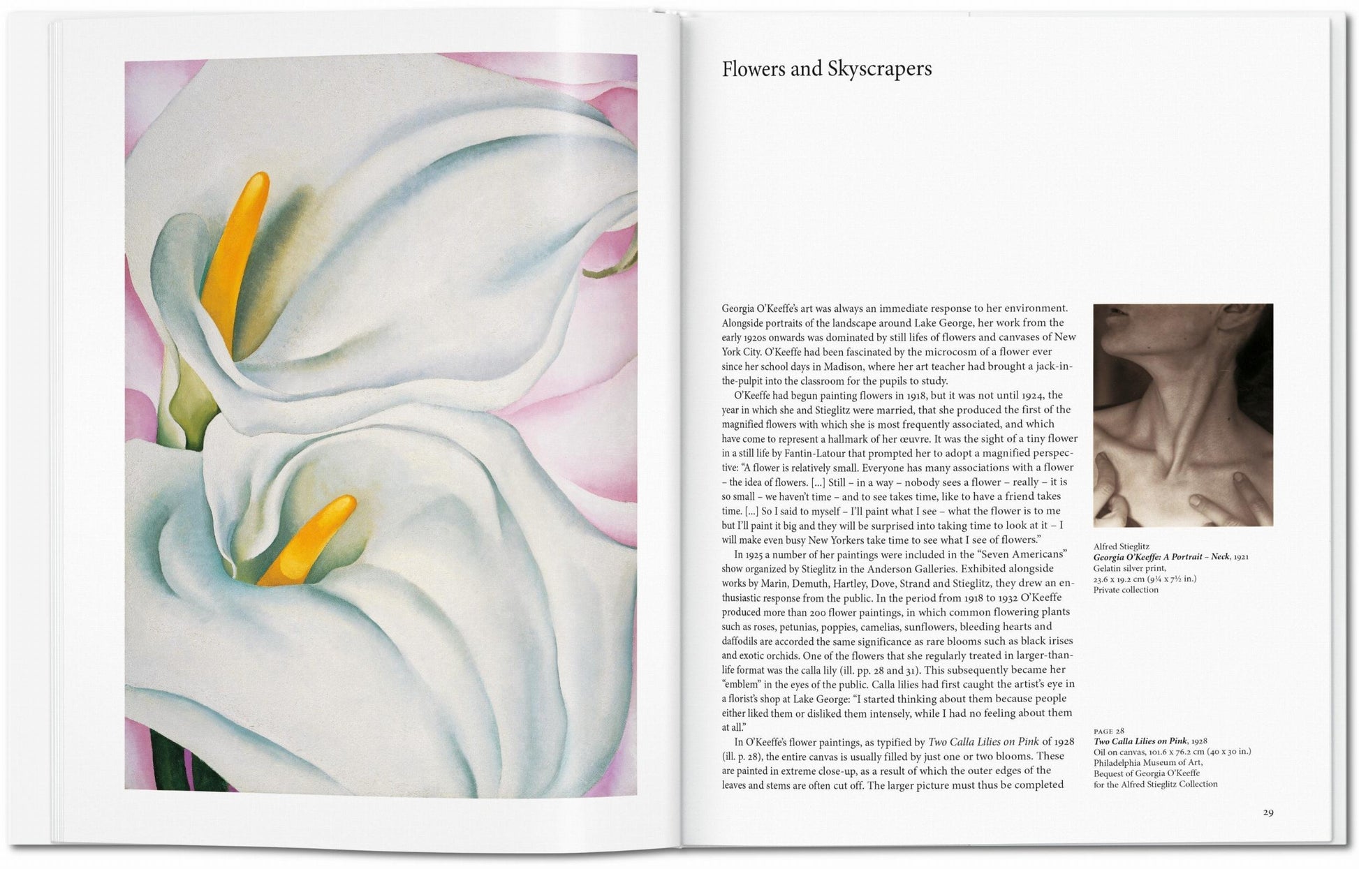 O'Keeffe. Arte Básico