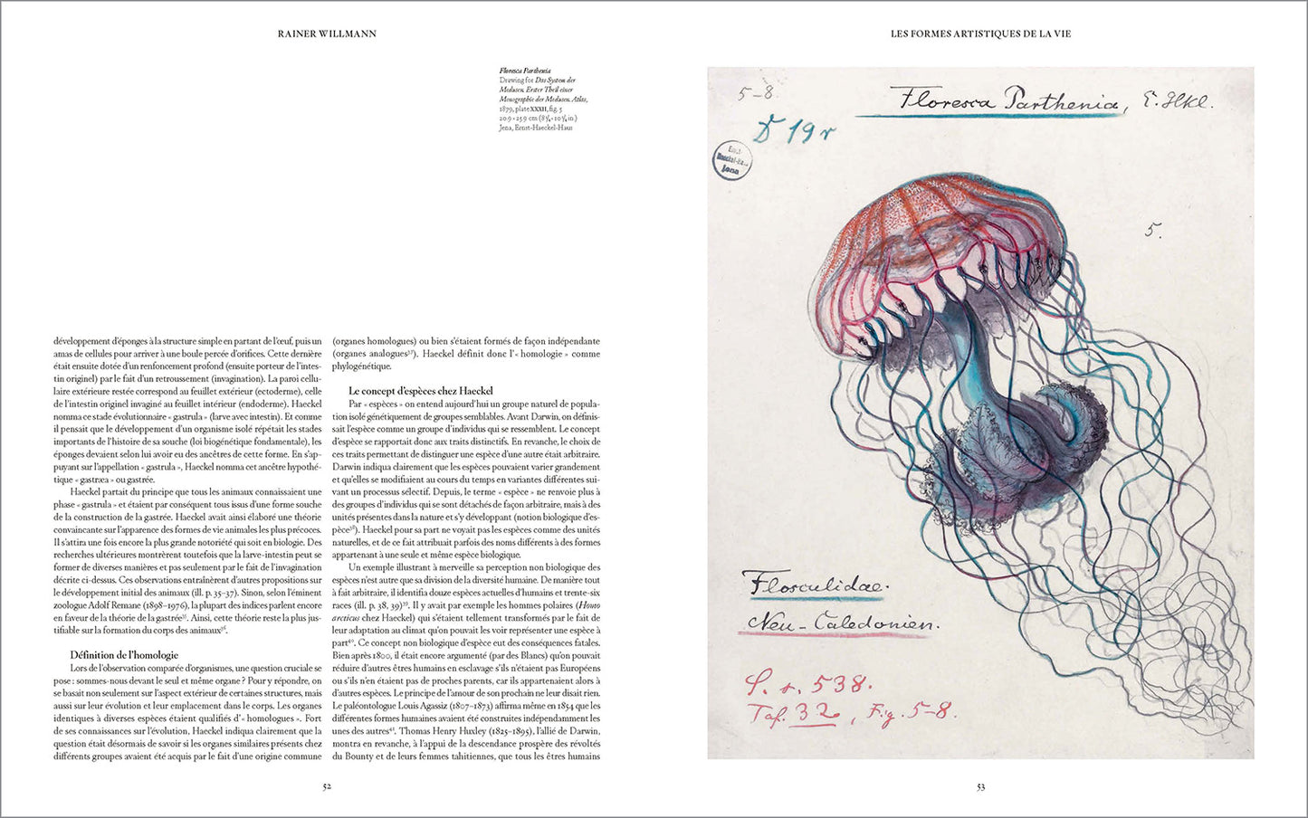 The Art and Science of Ernst Haeckel