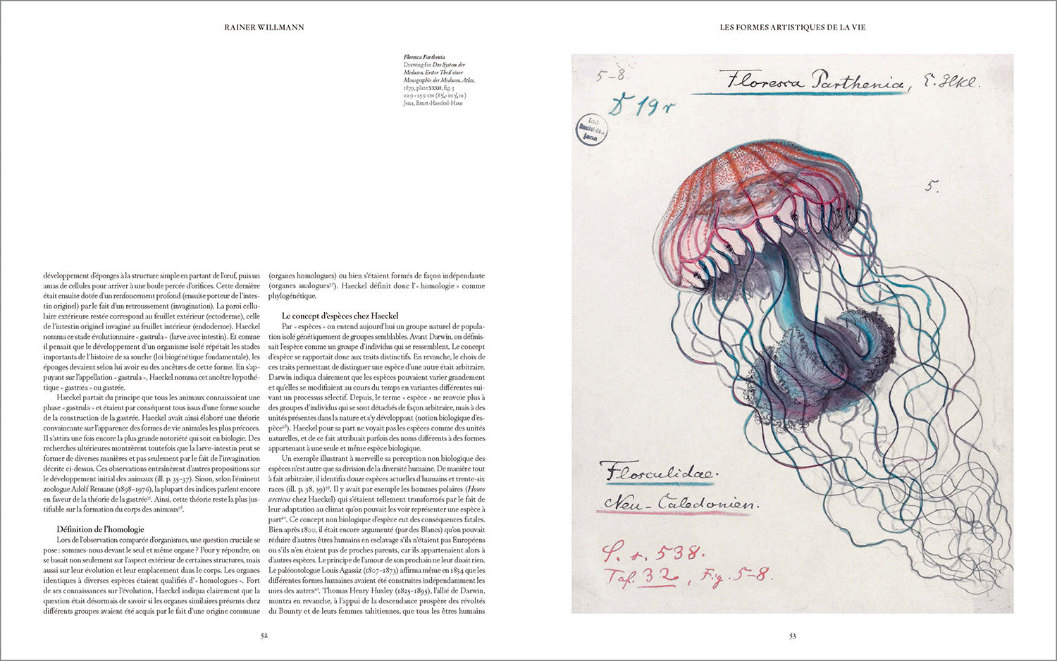 The Art and Science of Ernst Haeckel