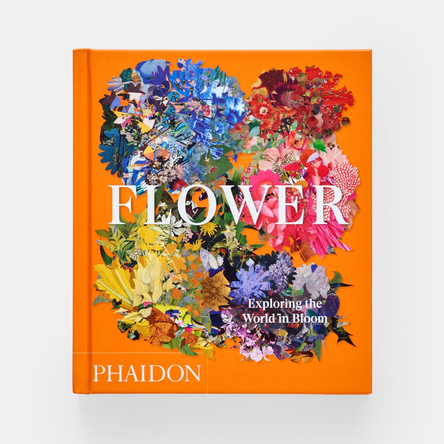 Flor: Explorando el mundo en floración