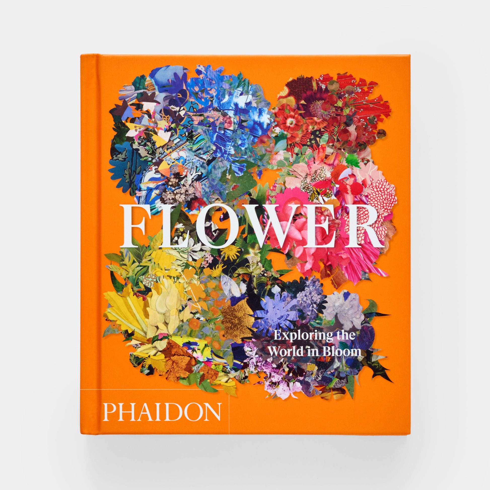 Flor: Explorando el mundo en floración