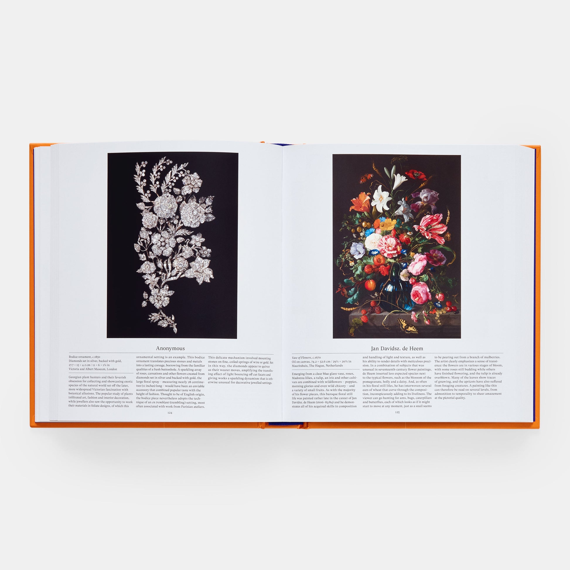 Flor: Explorando el mundo en floración