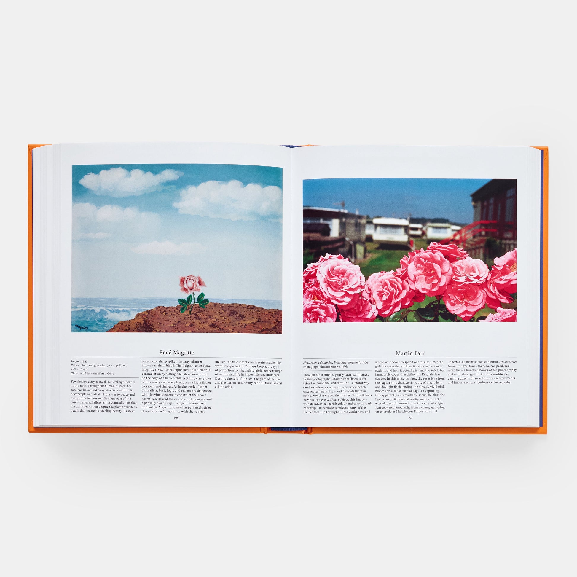 Flor: Explorando el mundo en floración