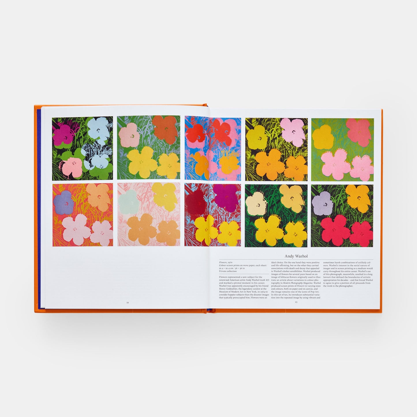 Flor: Explorando el mundo en floración
