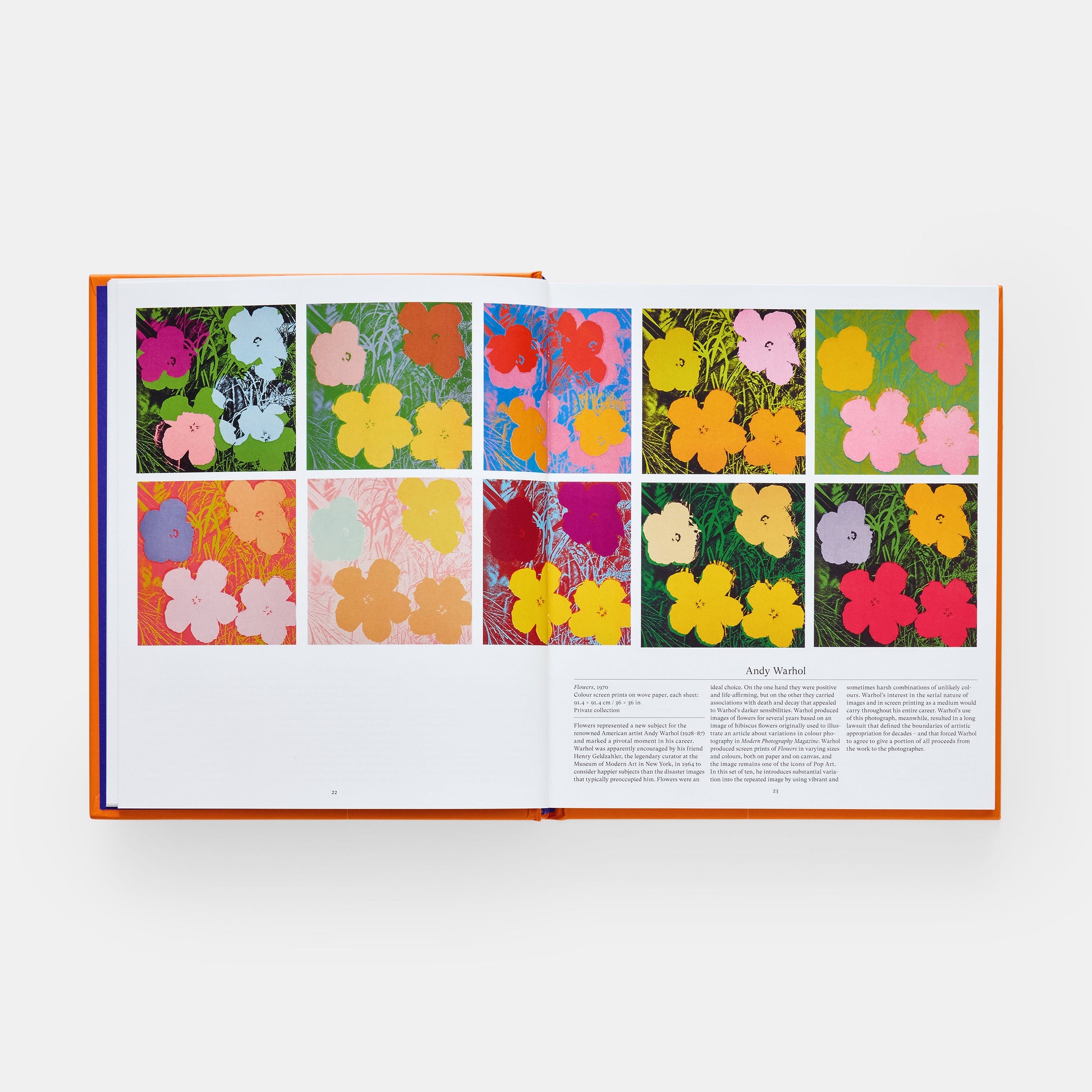 Flor: Explorando el mundo en floración