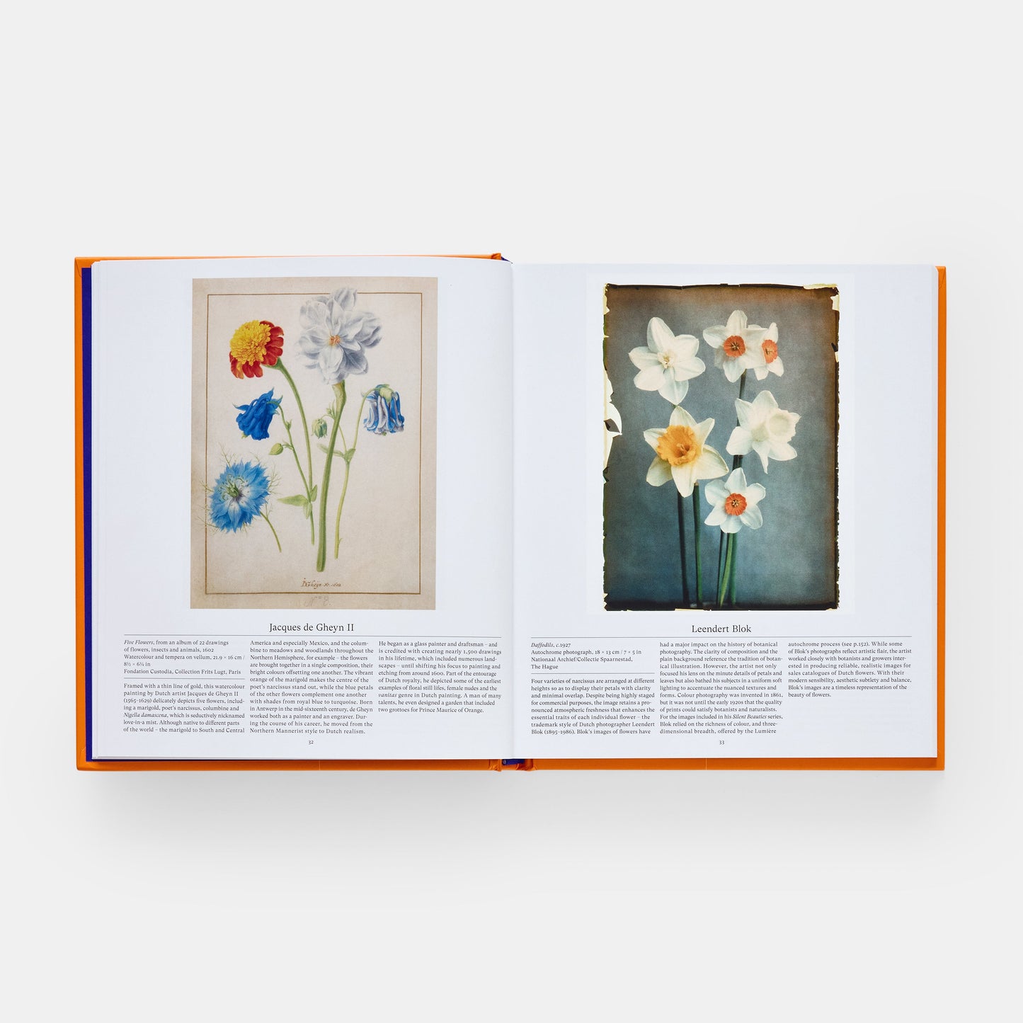 Flor: Explorando el mundo en floración