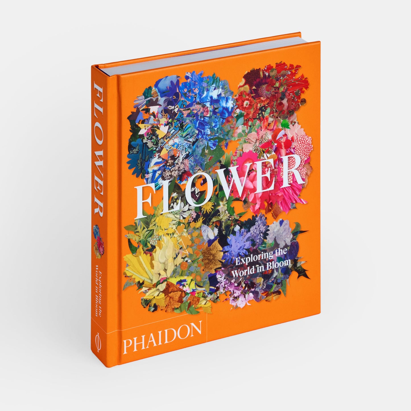 Flor: Explorando el mundo en floración