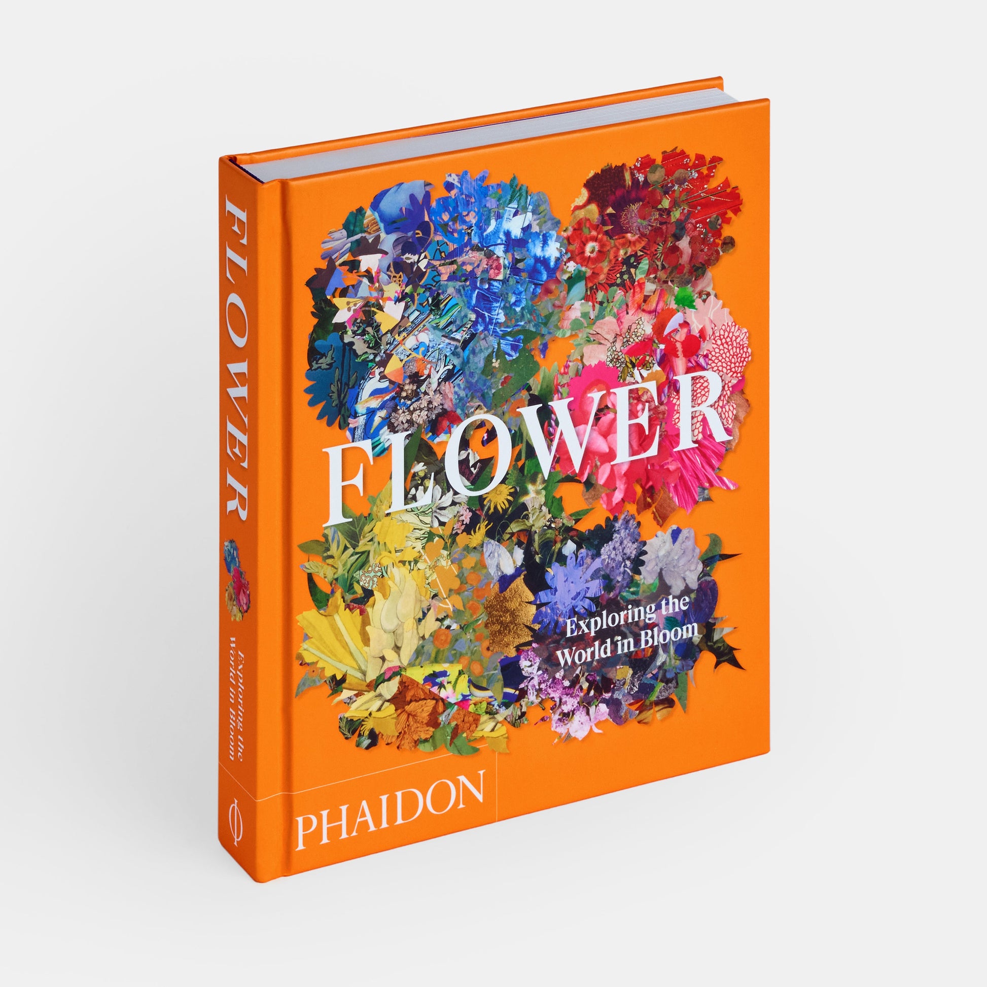 Flor: Explorando el mundo en floración