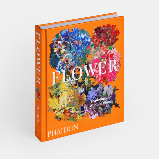 Flor: Explorando el mundo en floración