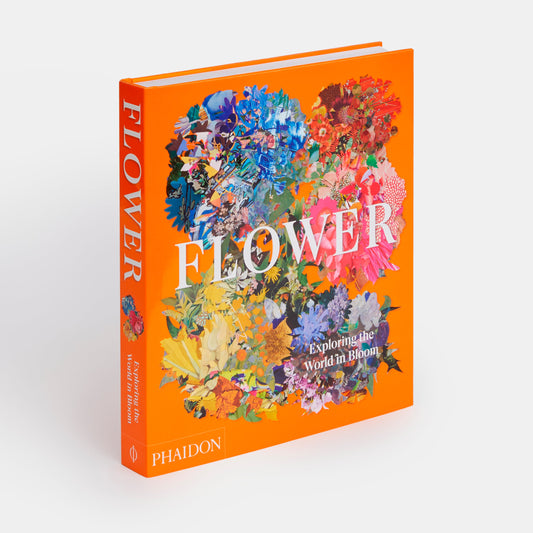 Flor: Explorando el mundo en floración