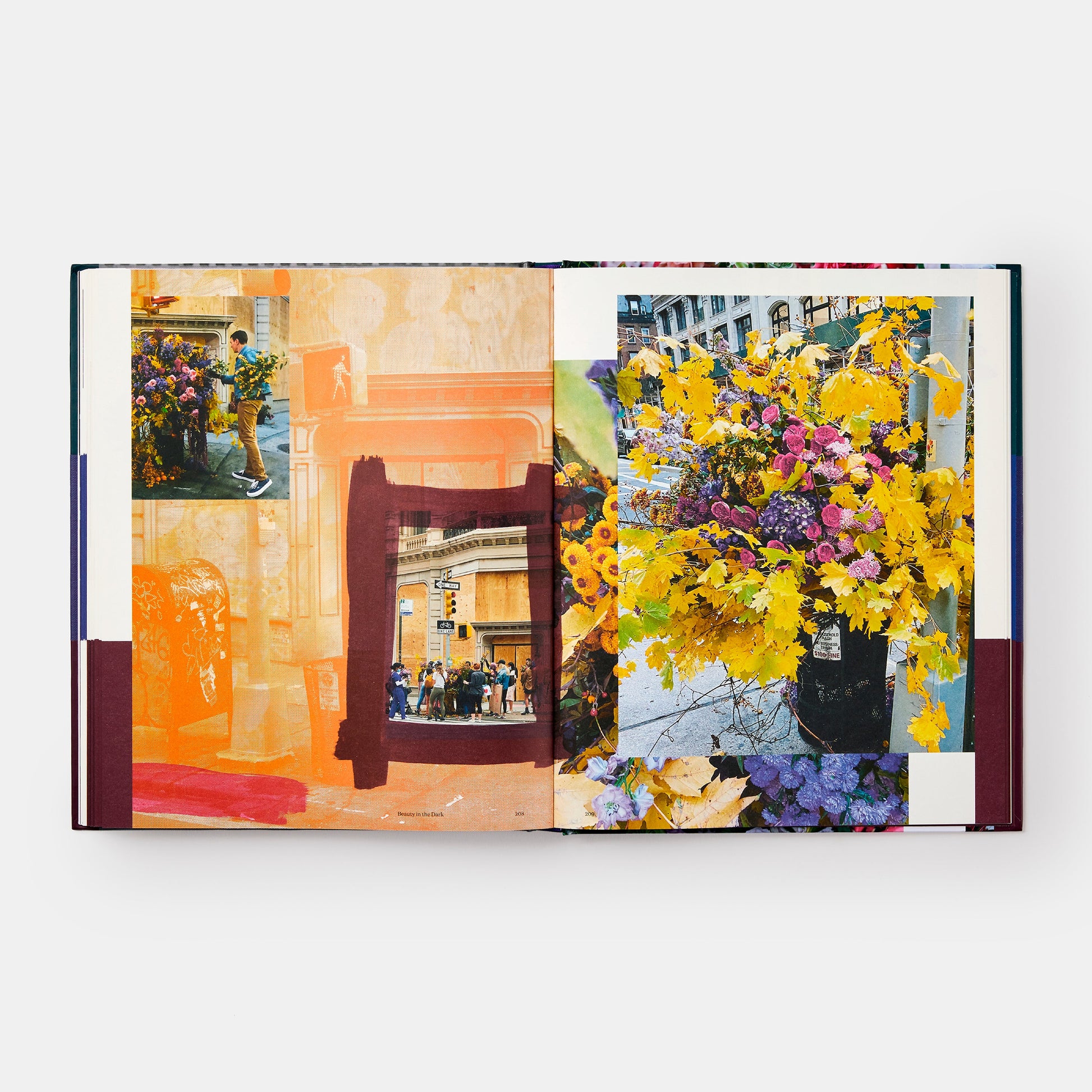 Explosión floral