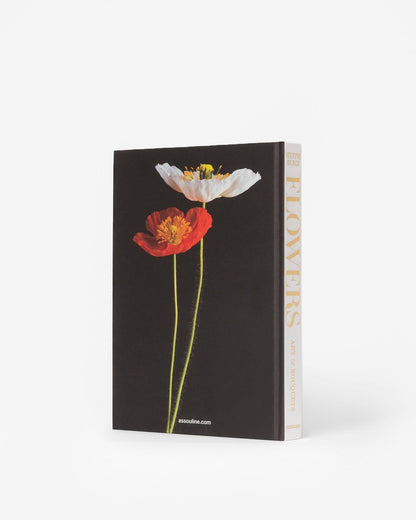 FLORES: ARTE Y RAMOS