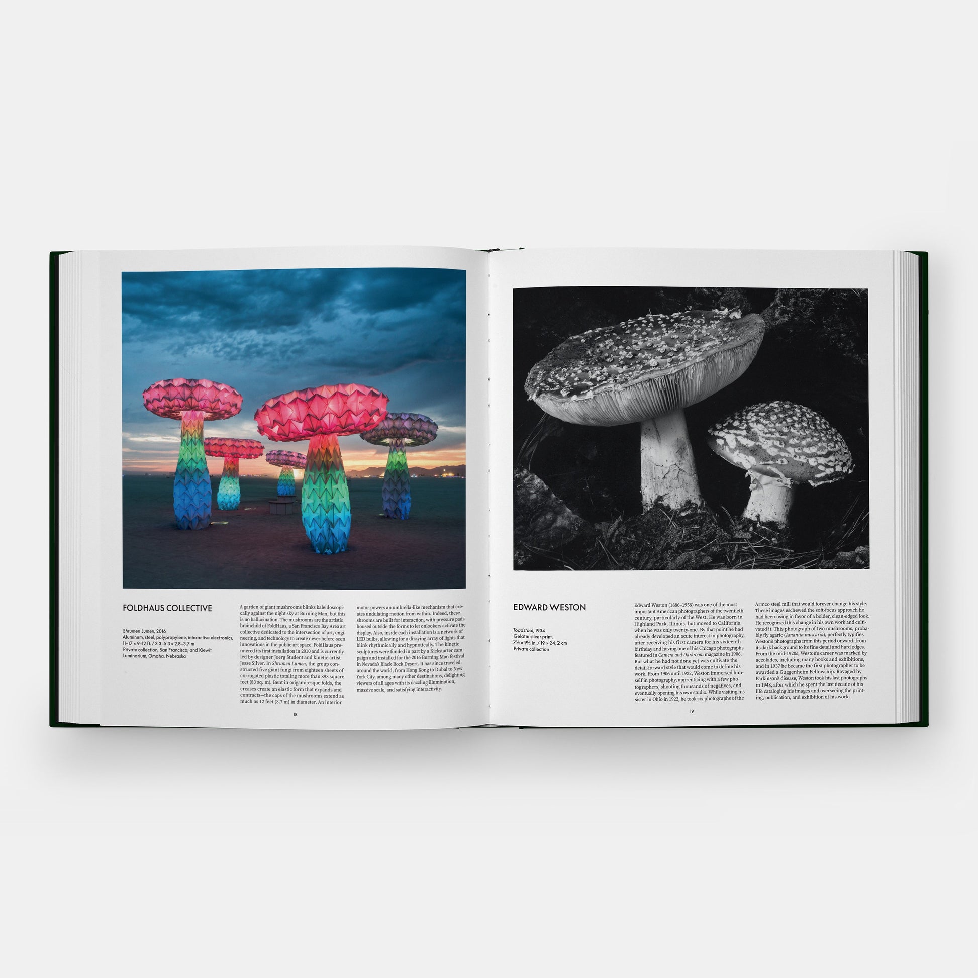 FUNGI: THE WORLD OF MUSHROOMS