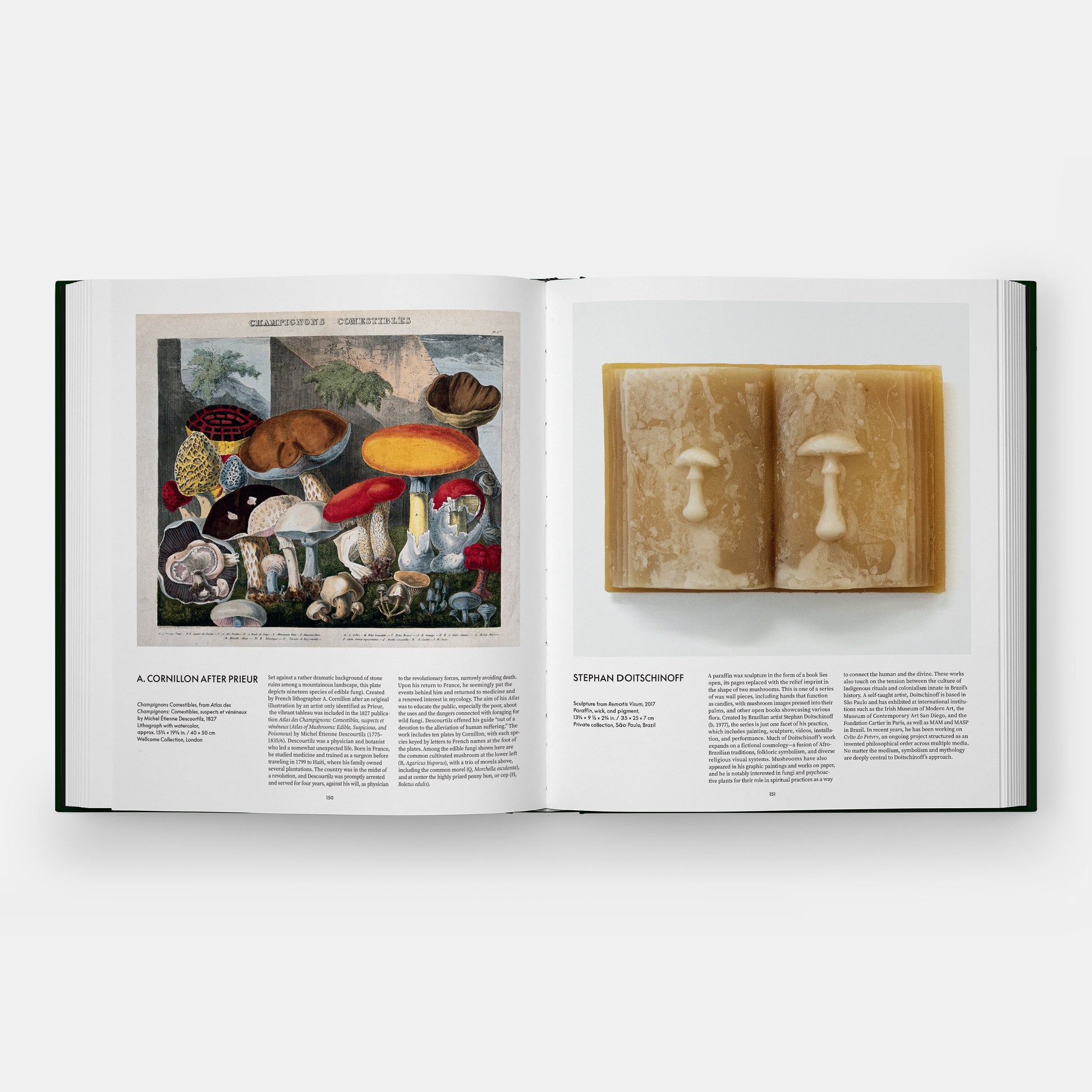 FUNGI: THE WORLD OF MUSHROOMS