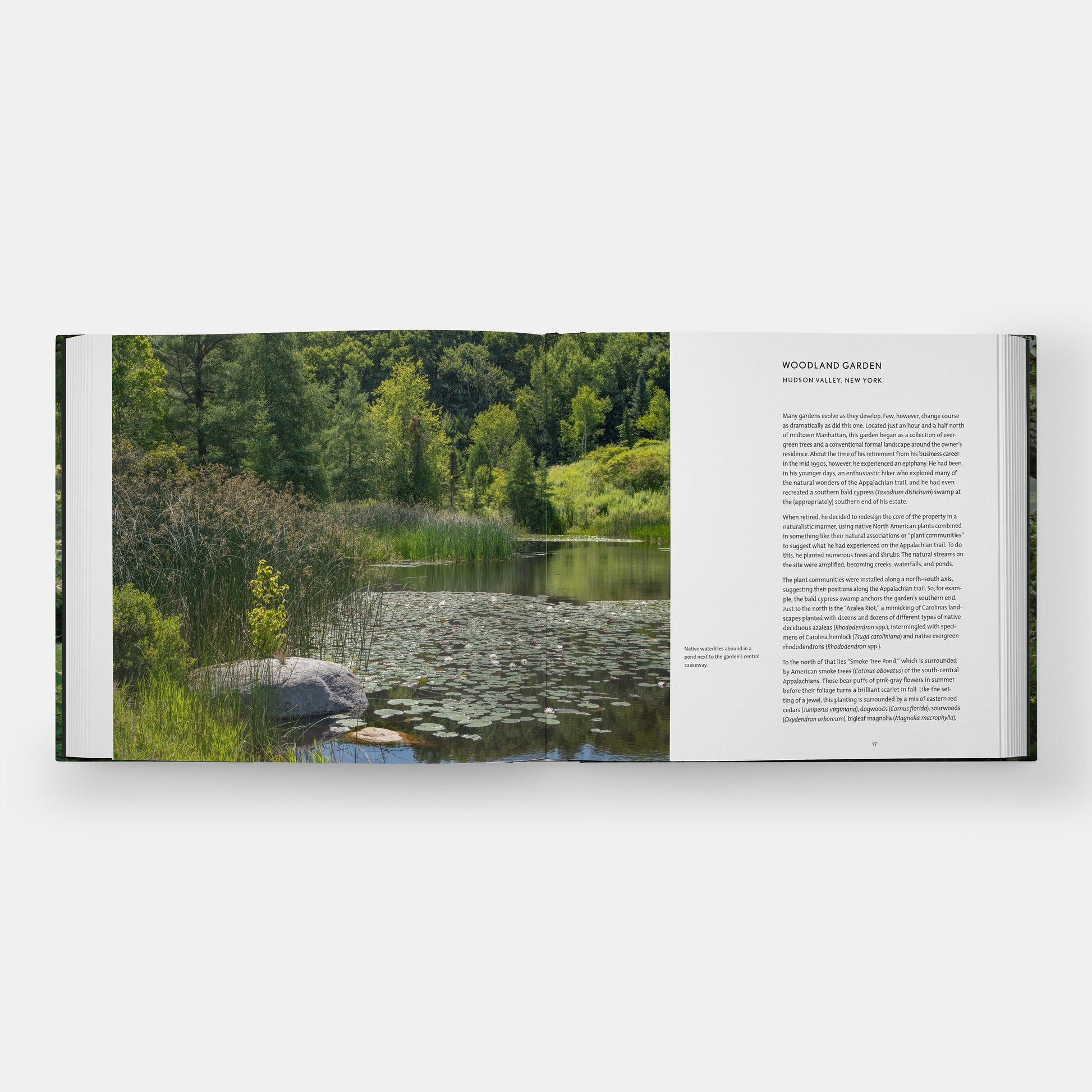 Retratos de jardín: Experiencias de belleza natural