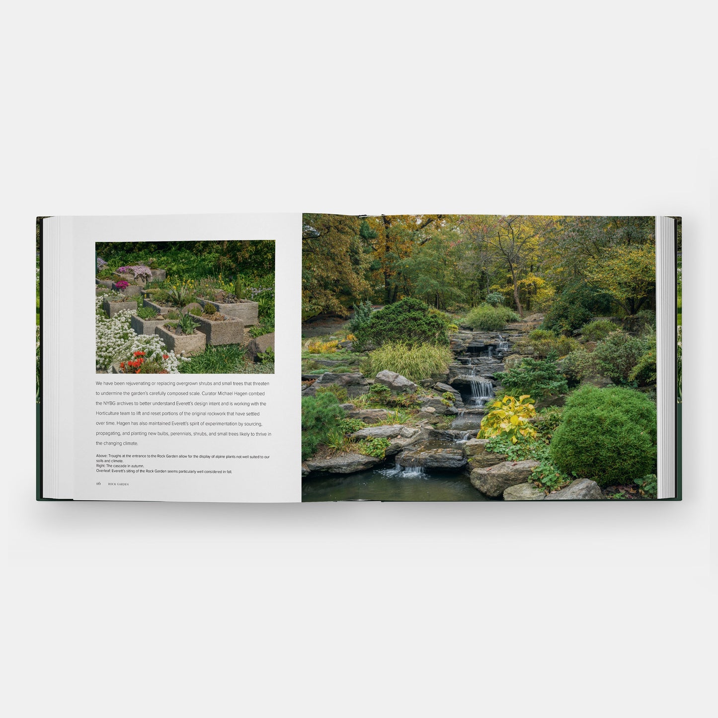 Jardiner con la naturaleza en el Jardín Botánico de Nueva York