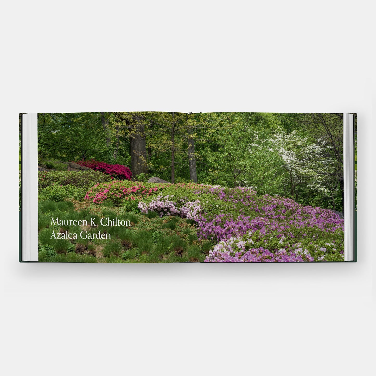 Jardiner con la naturaleza en el Jardín Botánico de Nueva York