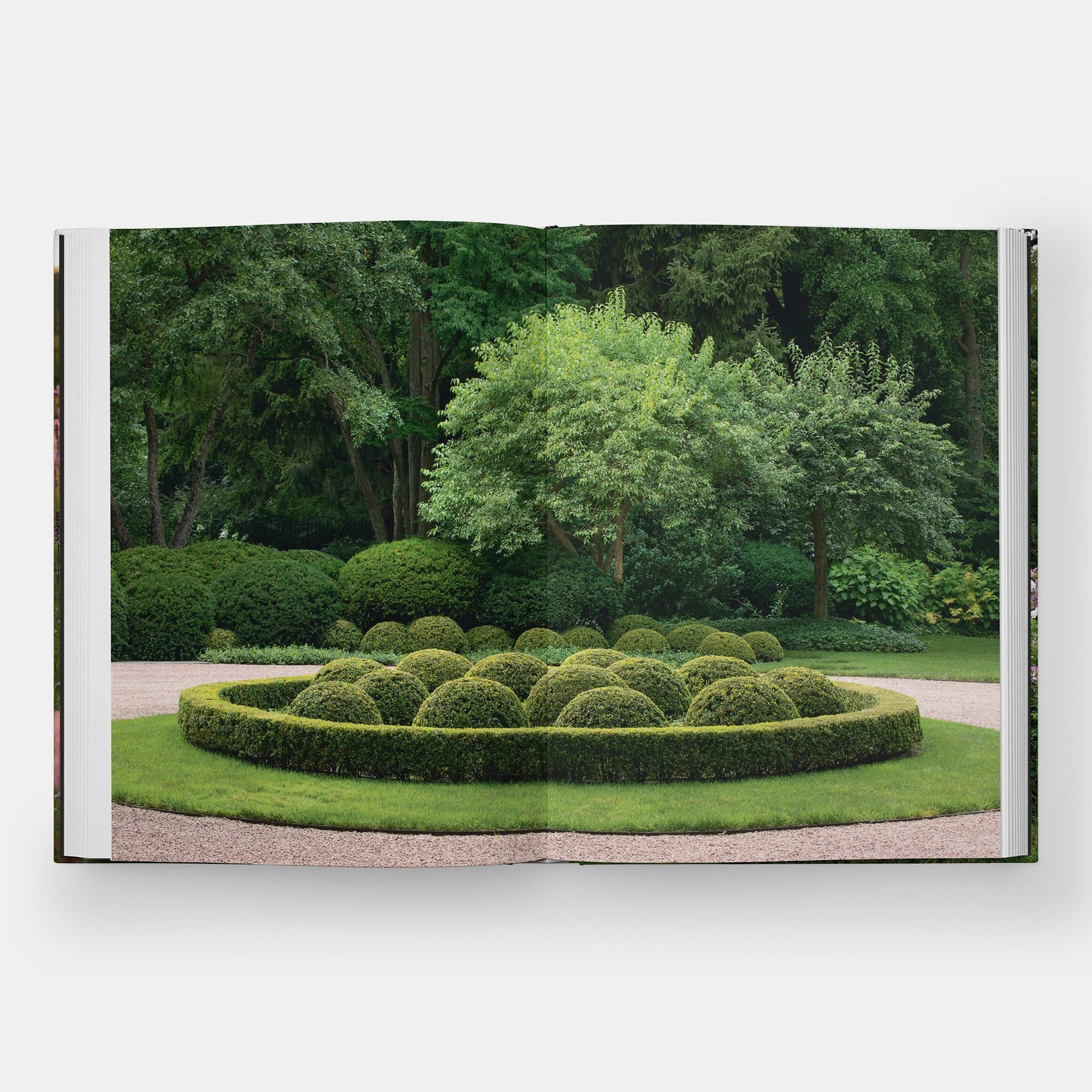 Jardines de la Costa Norte de Chicago