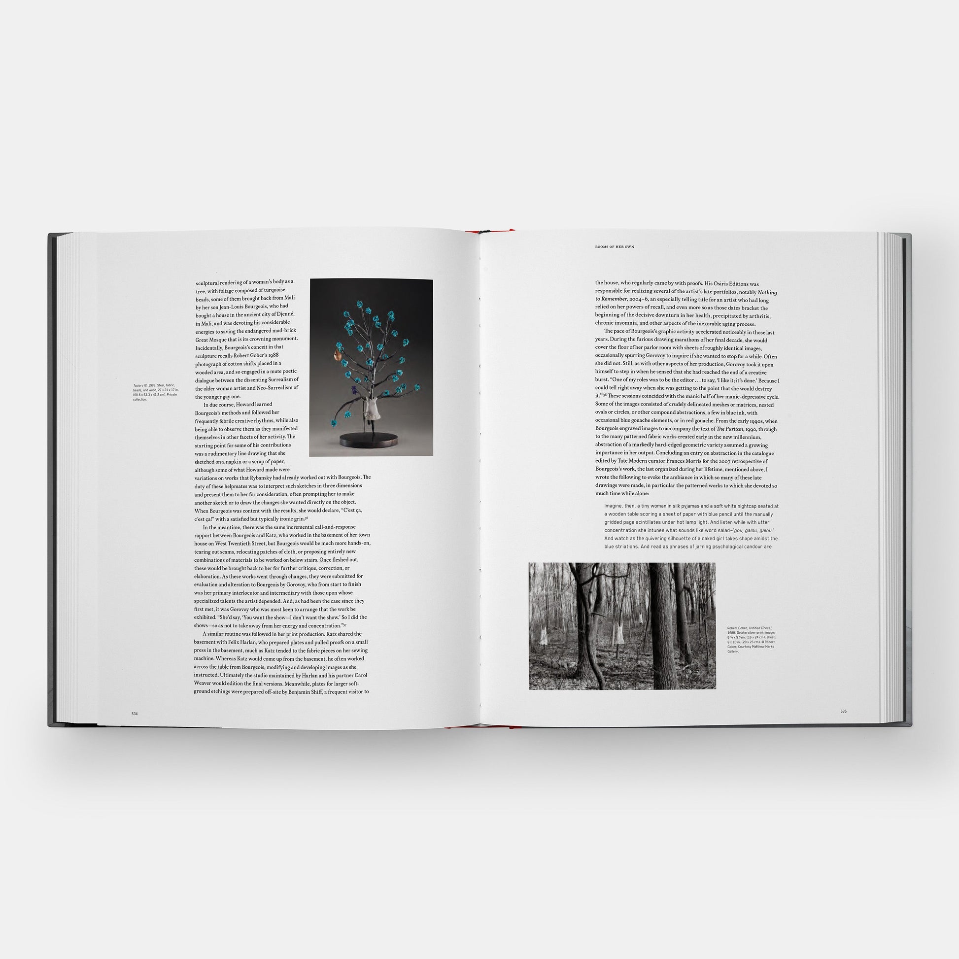 Geometrías íntimas: El arte y la vida de Louise Bourgeois