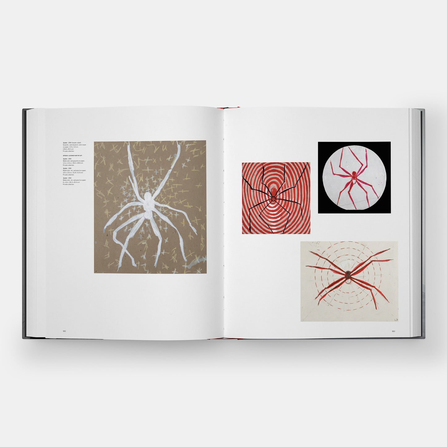 Geometrías íntimas: El arte y la vida de Louise Bourgeois
