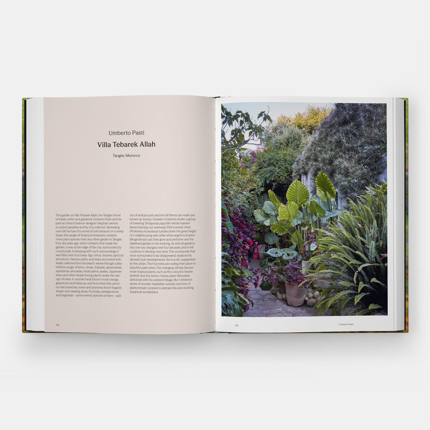 INTO THE GARDEN: PRIVATE SANCTUARIES AROUND THE WORLD