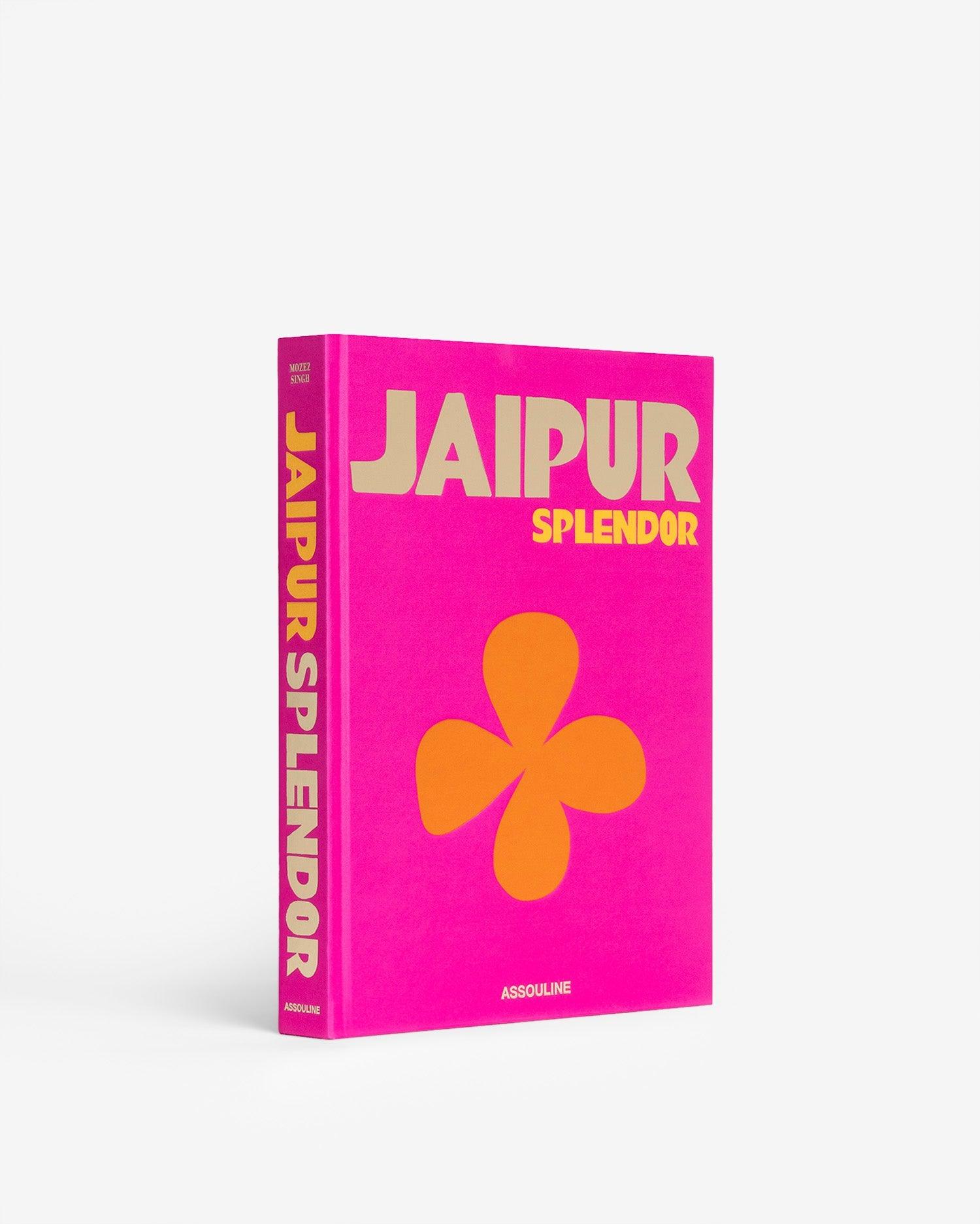 ESPLENDOR DE JAIPUR