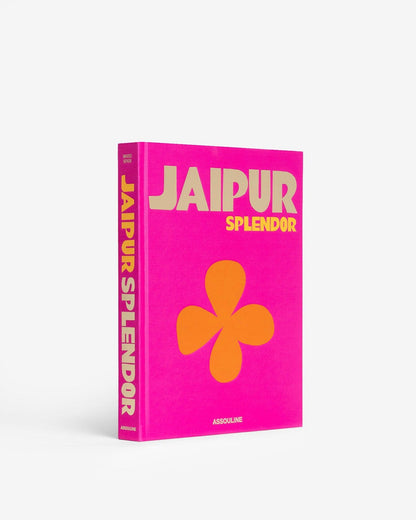 ESPLENDOR DE JAIPUR