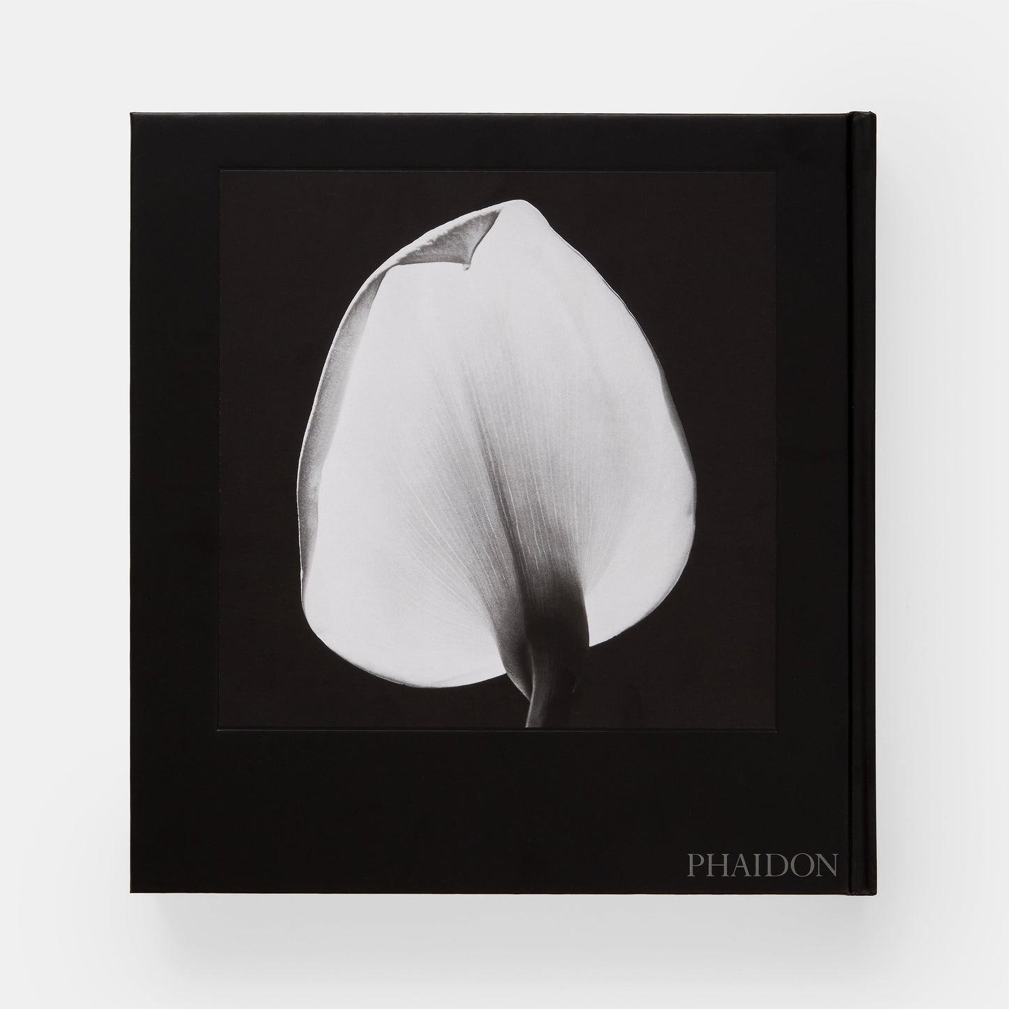 Mapplethorpe Flora: Las flores completas