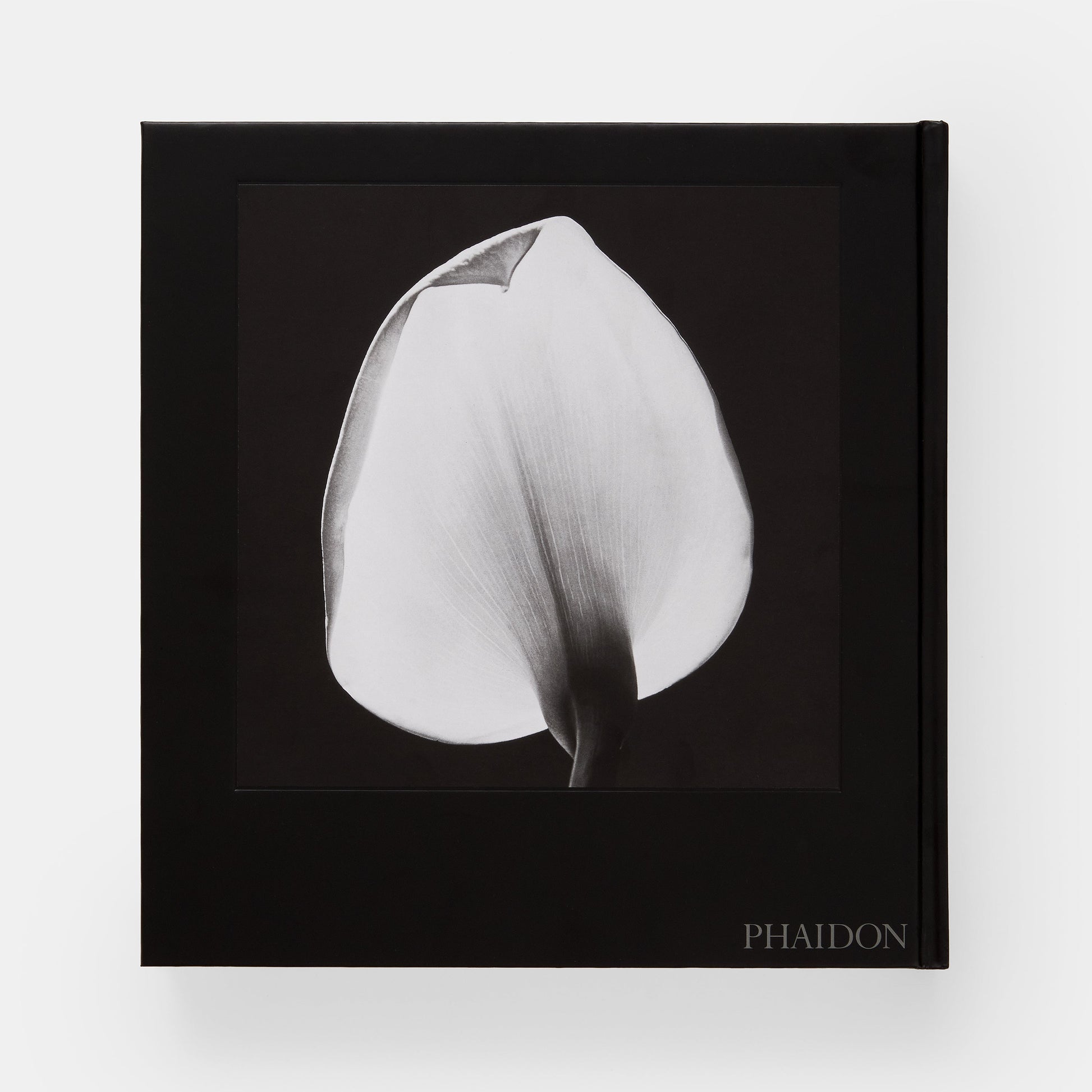 Mapplethorpe Flora: Las flores completas