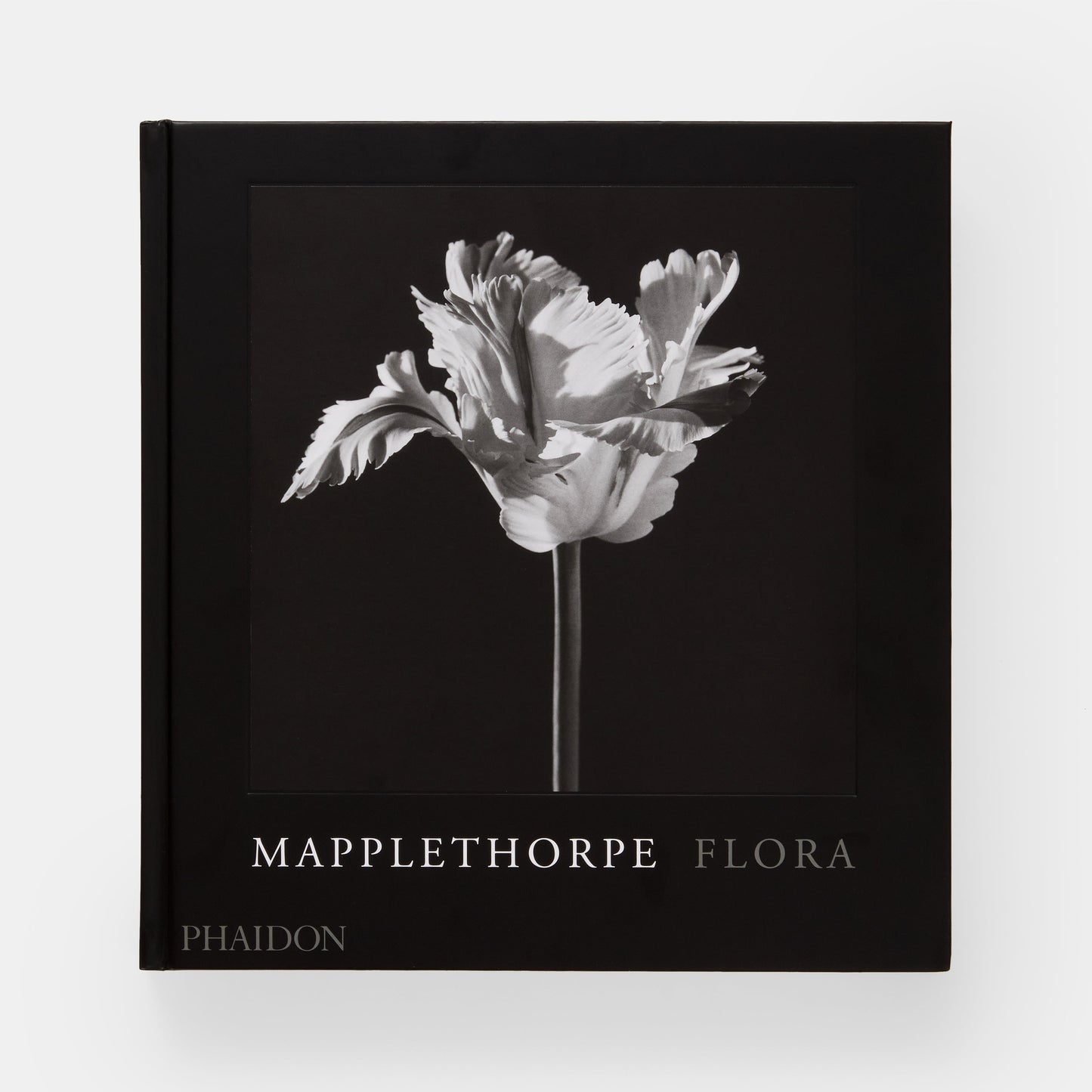 Mapplethorpe Flora: Las flores completas