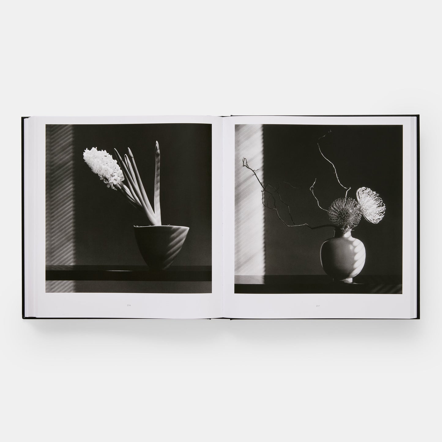 Mapplethorpe Flora: Las flores completas