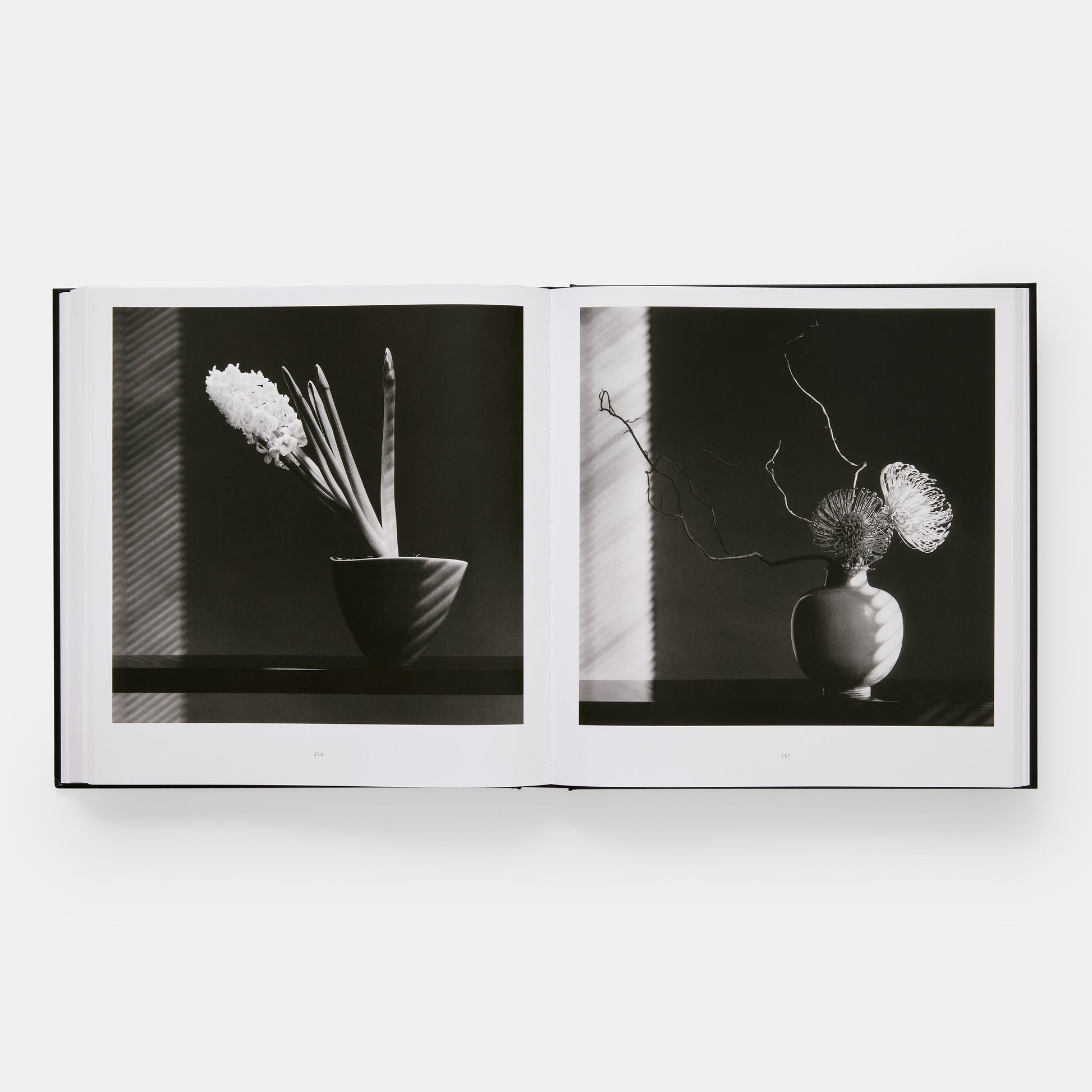 Mapplethorpe Flora: Las flores completas