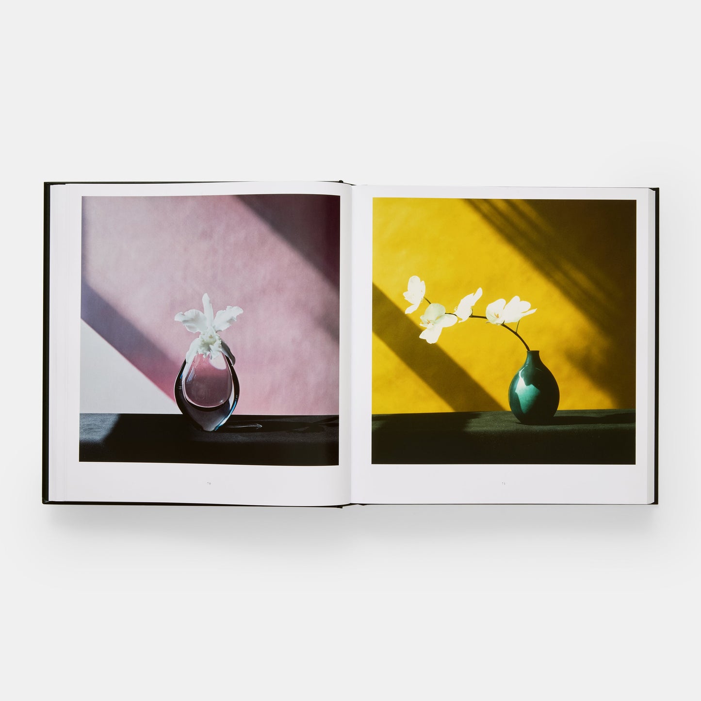 Mapplethorpe Flora: Las flores completas